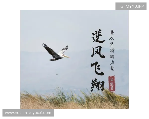 逆风高飞：那些用信念改变命运的球队